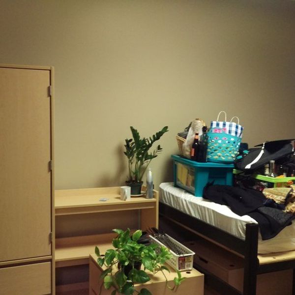 Dos And Don'ts Of Moving On Campus