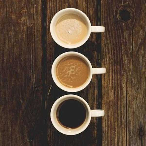 15 Of The Best Coffee Shops In Montana