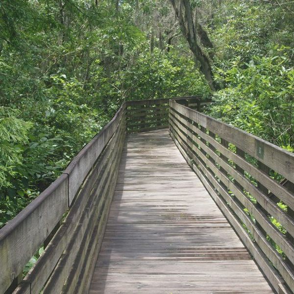 Will We Ever Be Better Than This?