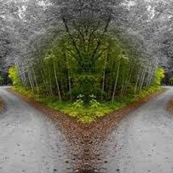 Why Choosing A Career At A Young Age Is Hard