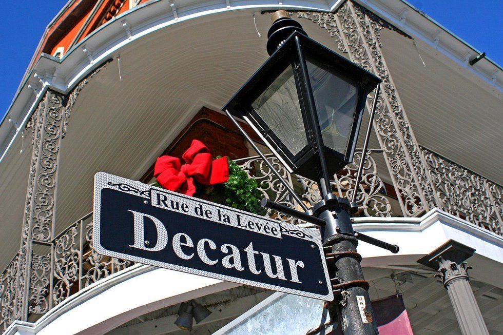 One Mule Driver Captures The Essence Of A City