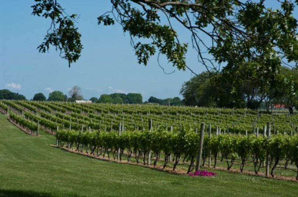 16 Things You Know When You Grew Up In Greenport, NY