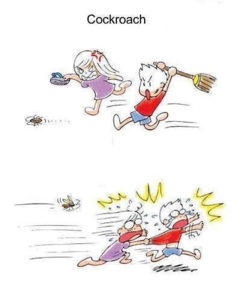 Why I Can't Stand Cockroaches