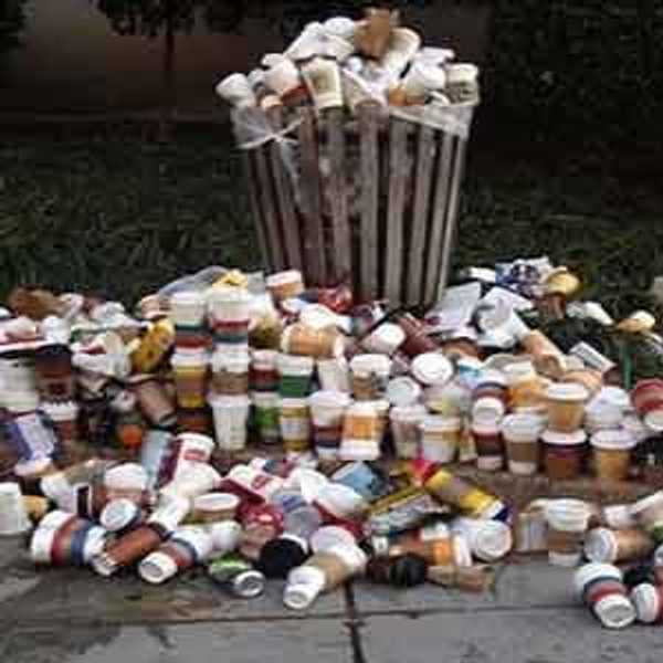 College Students' Environmental Impact