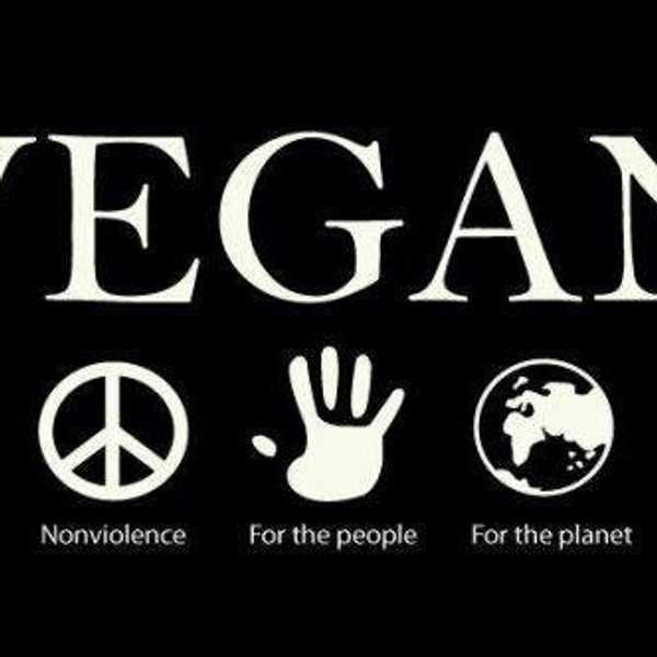 How My Life Changed After Becoming Vegan