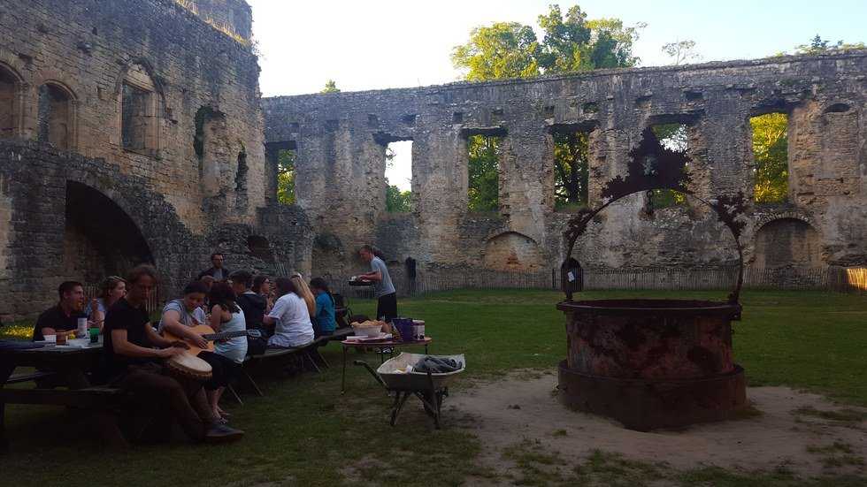 Why We Study Abroad