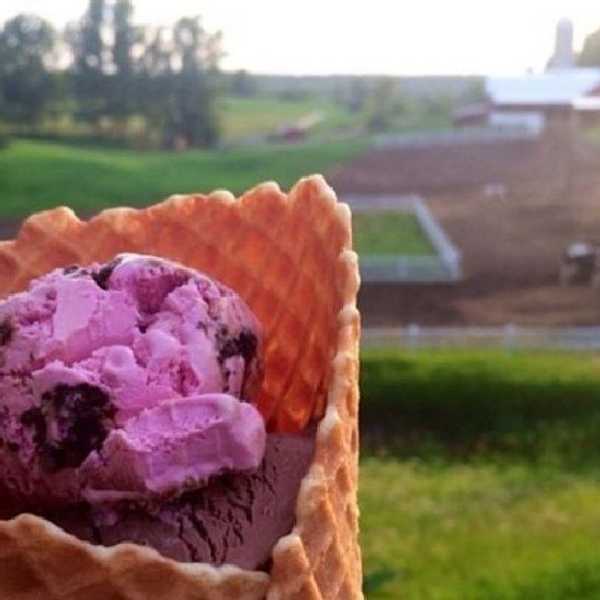 11 Food Stops To Make Across Michigan