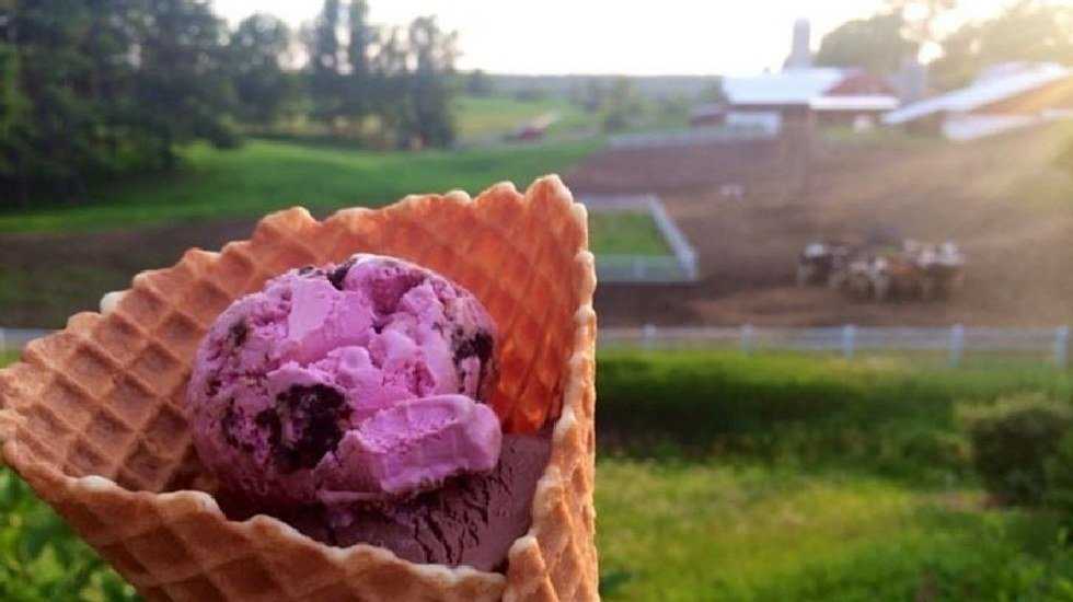 11 Food Stops To Make Across Michigan