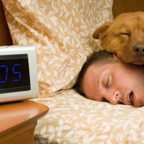 10 Ways Dogs Are Better Than People