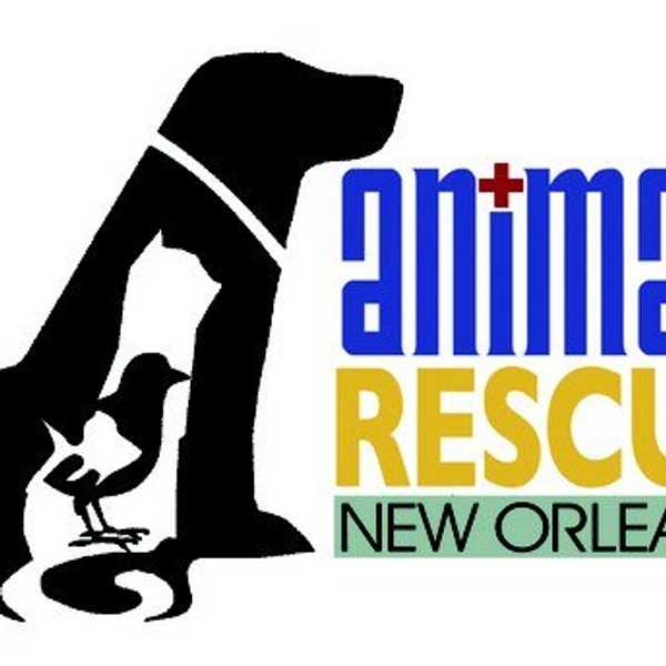 In Need Of A Few Good Homes