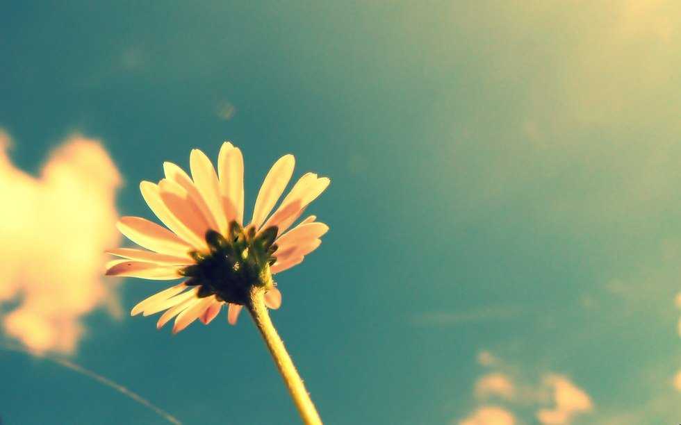 7 Reasons I Am Proud of My Adoption