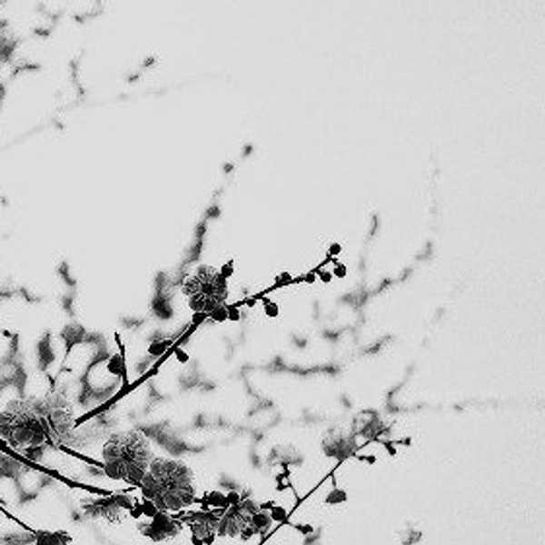 Why Anxiety Isn't Always Harmful