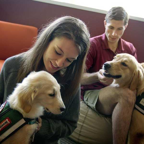 It's Time To Bring Dogs On Campus