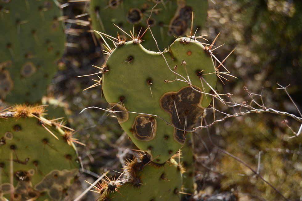 Learn To Appreciate The Lessons And Blessings In Your Life