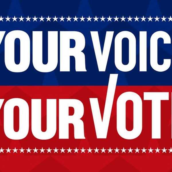 Why Voting Matters