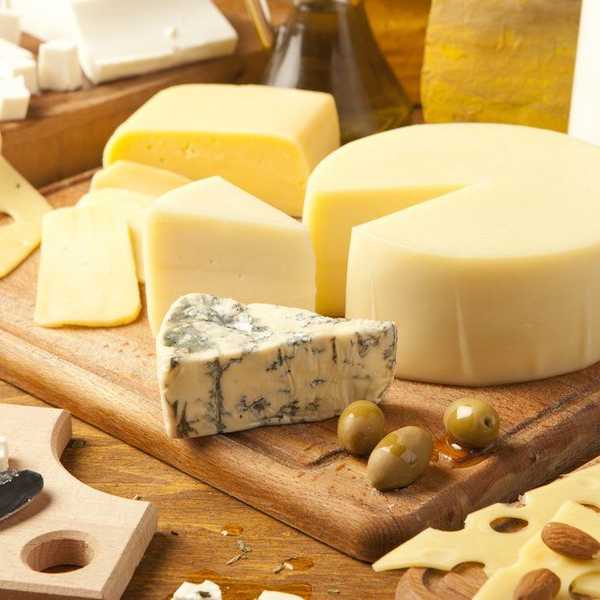Cheese: The Glue That Holds Life Together