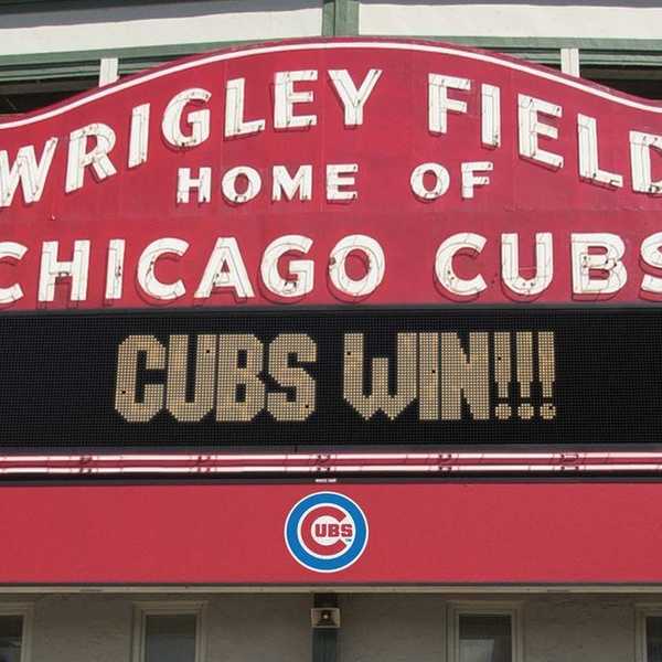 3 Reasons Why Chicago Cubs Fans Are The Best Fans