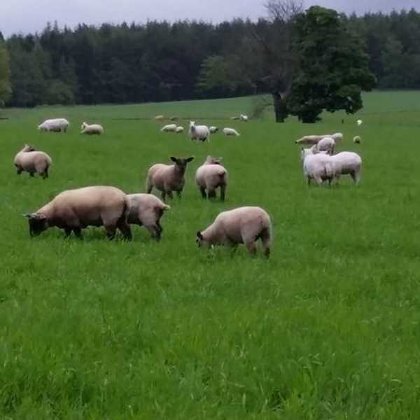 Top 10 Places And Things To Visit In Ireland And Scotland