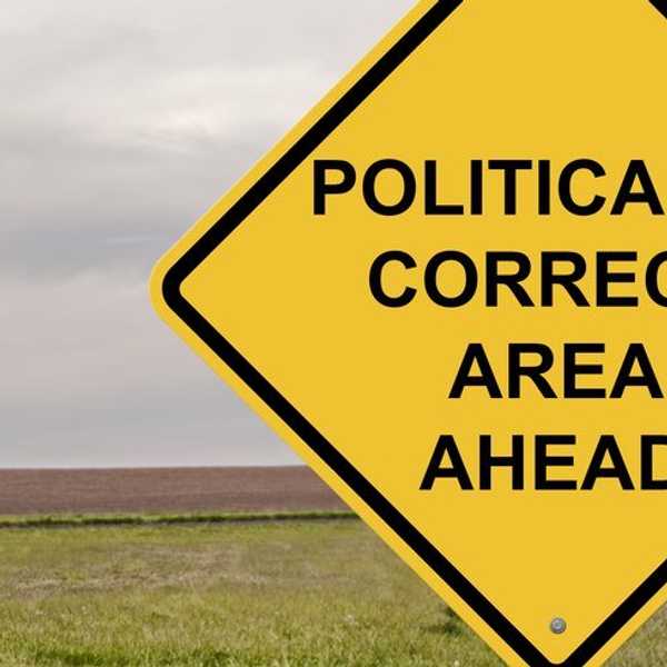 The Importance Of Being Politically Correct