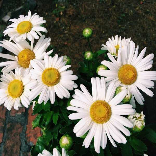 Dealing With Haters From A Christian's Point of View