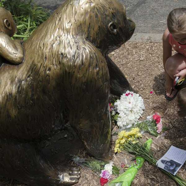 Human Life Comes First: A Response To The Cincinnati's Zoo's Decision