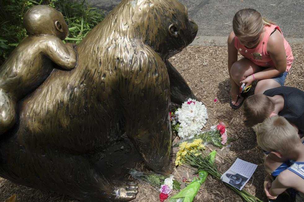 Human Life Comes First: A Response To The Cincinnati's Zoo's Decision