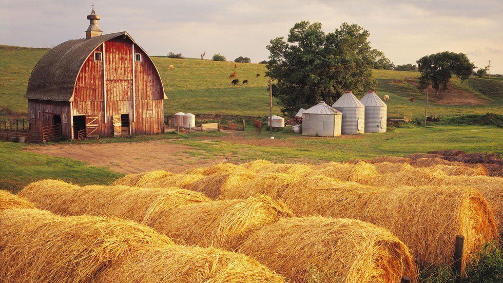 10 Reasons Why Farm Life is Better Than Any Other Kind Of Life