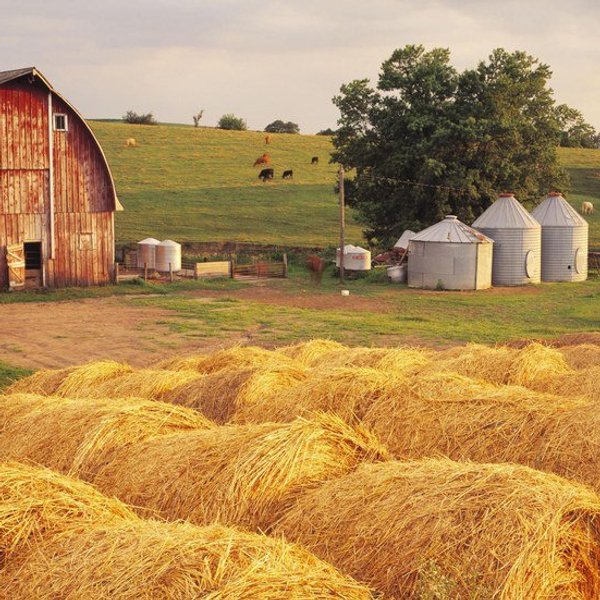 10 Reasons Why Farm Life is Better Than Any Other Kind Of Life