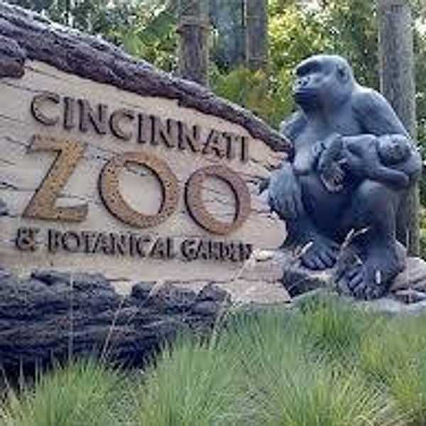 My Two Cents On The Cincinnati Zoo Situation