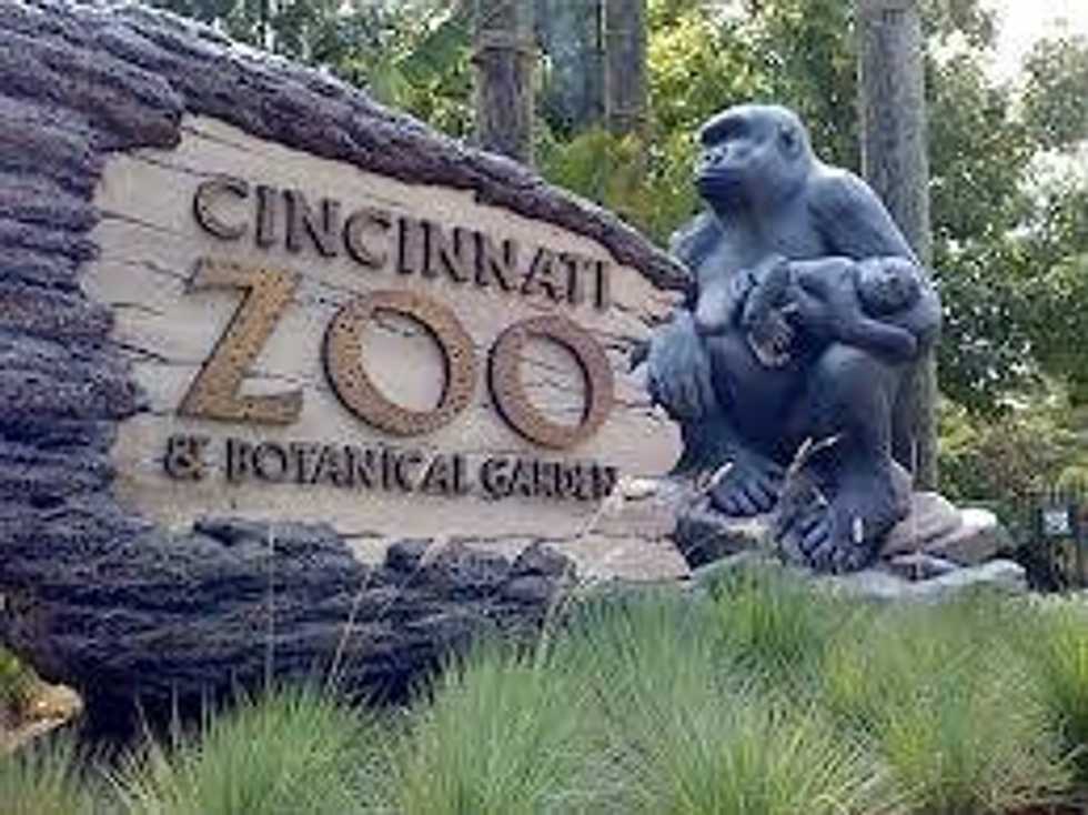 My Two Cents On The Cincinnati Zoo Situation
