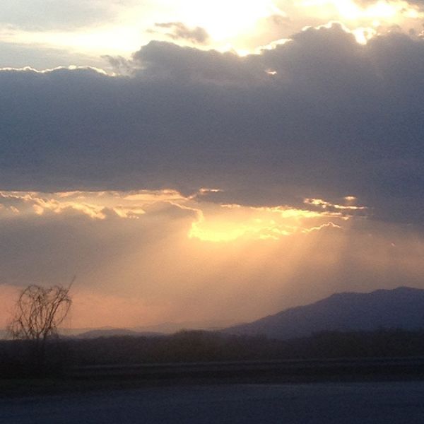 Get Your Face Out Of Your Planner