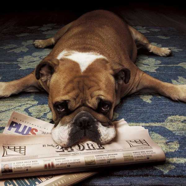 5 Steps To A More Fulfilling, Productive Summer