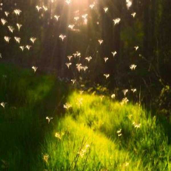 How To Combat Summer Boredom