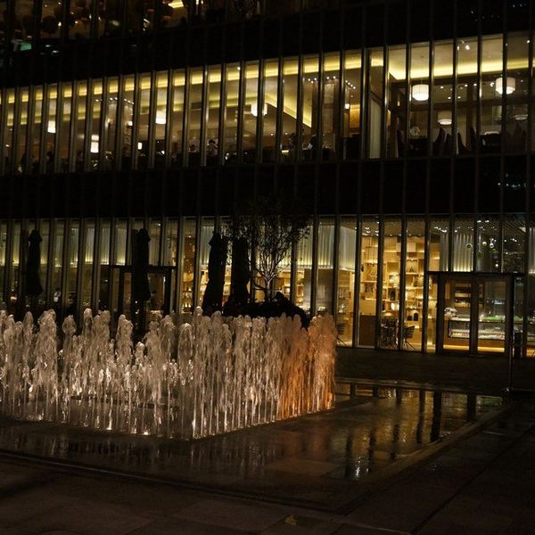 Reflection On Beauty: I