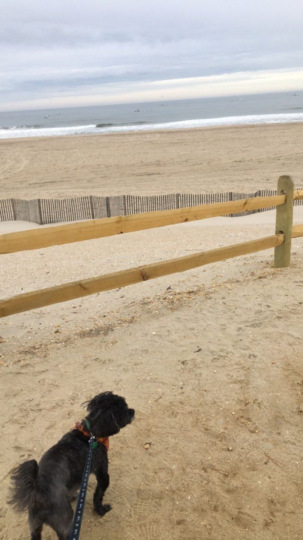 What Living At The Beach Really Means