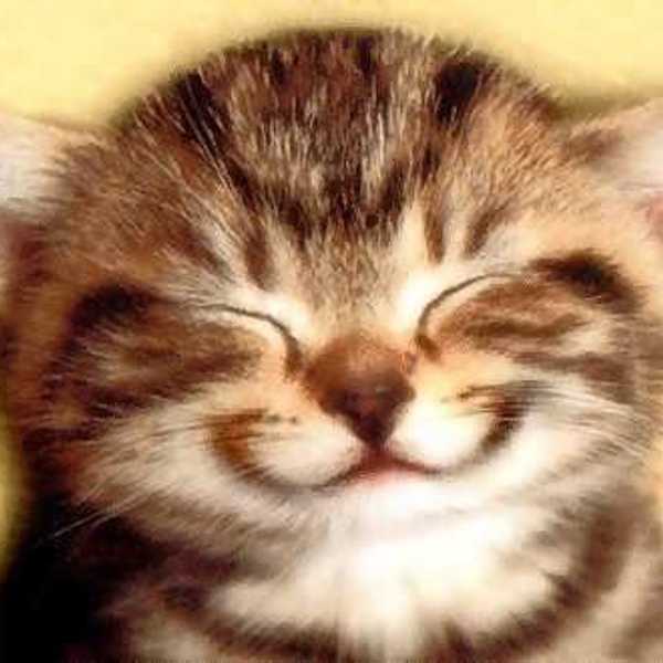 20 Facts To Smile About