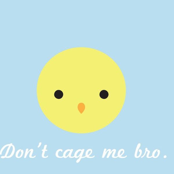 10 Reasons Everyone Should Go Vegan