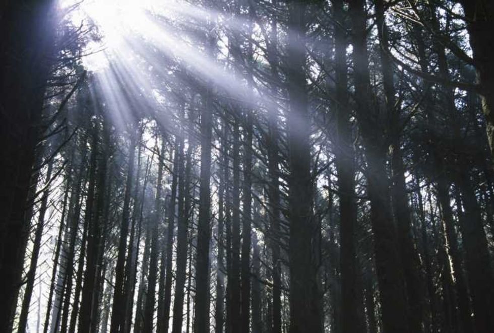 6 Tips To Help Cope With Loss