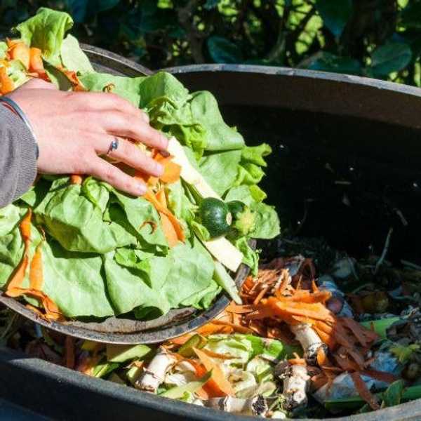 The Awesome Things You Can Do With Foods We Normally Throw Out