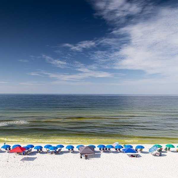 5 Beach Essentials You Might Be Forgetting