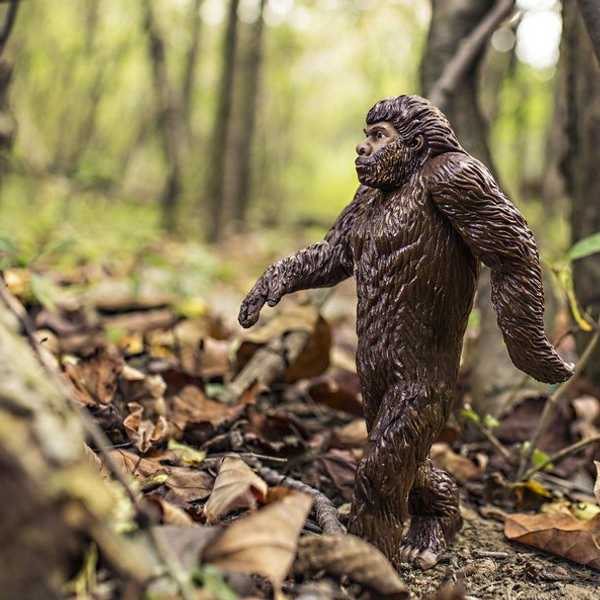 What We Should Learn From Harambe The Gorilla