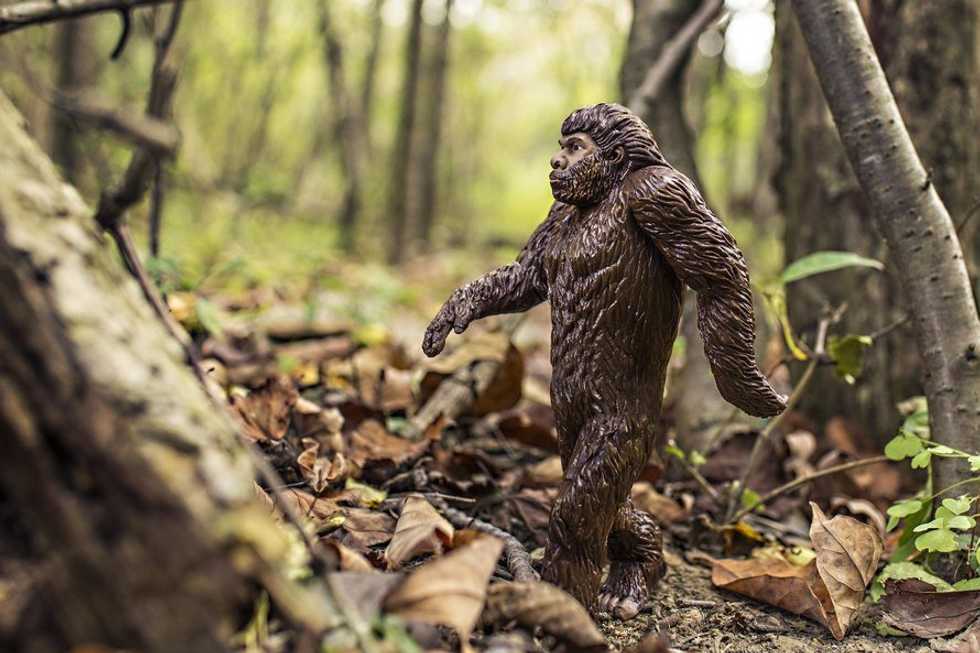 What We Should Learn From Harambe The Gorilla
