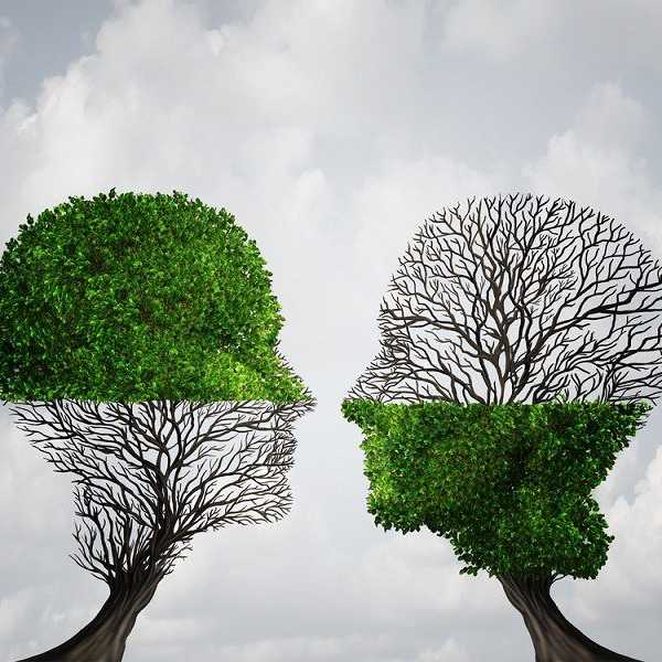 Is The 'Going Green' Movement Worth It?