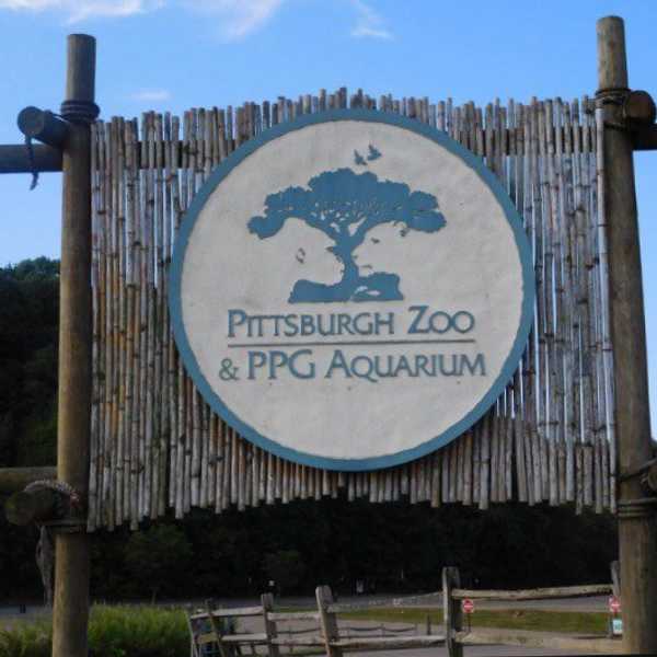 The Problem With America's Zoos