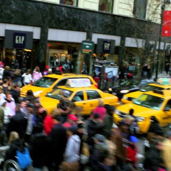 The Beauty In The Chaos