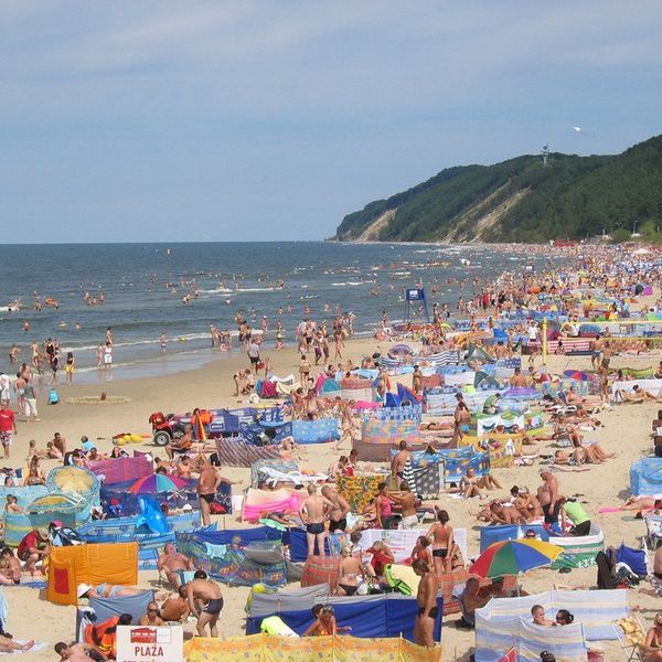 How To Deal With Summer FOMO