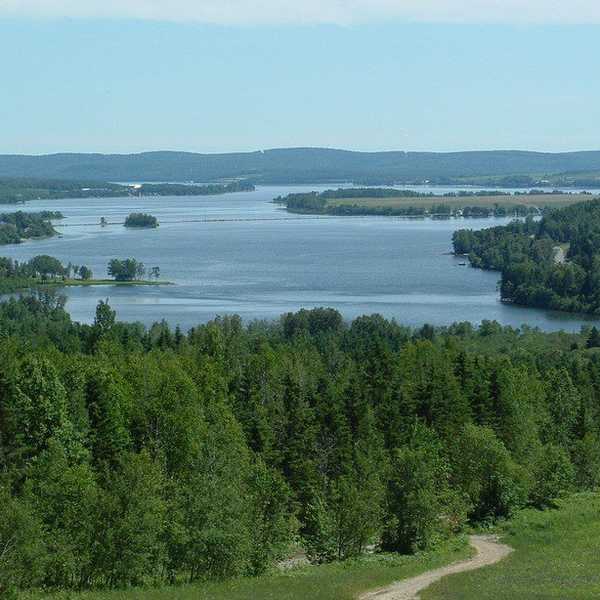 How The Land I Grew Up On Made Me The Worker I Am Today