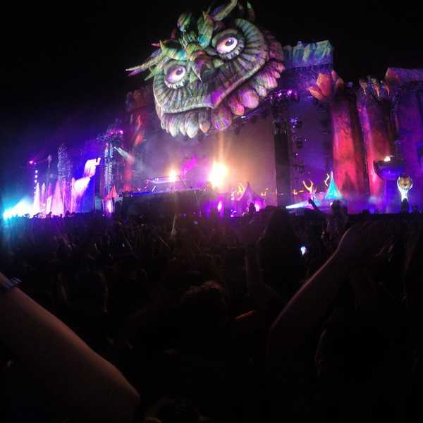 10 Things All EDM Festival Goers Know