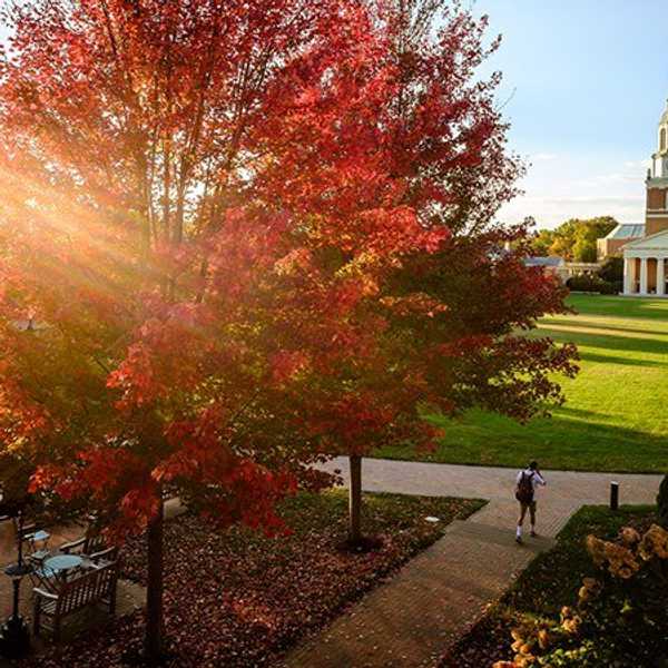 Wake's Declassified Freshman Dorm Survival Guide