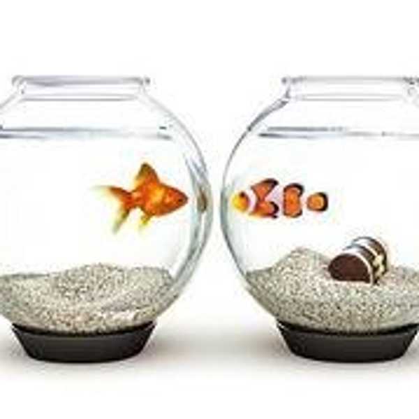 Curiosity And Success: The Perfect Combination
